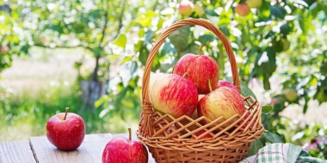 Scientific Facts about Apple