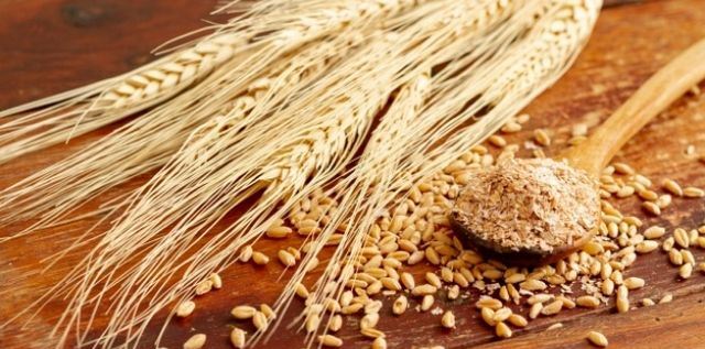 Wheat Export from India